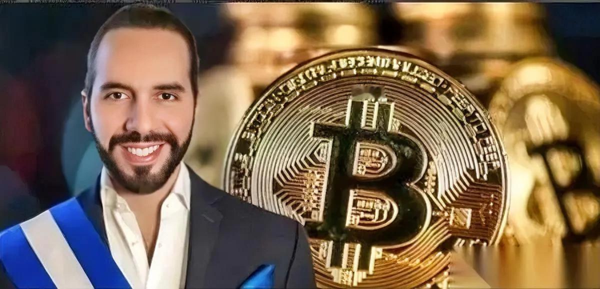 我从没碰比特币——不是我多聪明，是见过太多人被割得精光。但有个小国咬