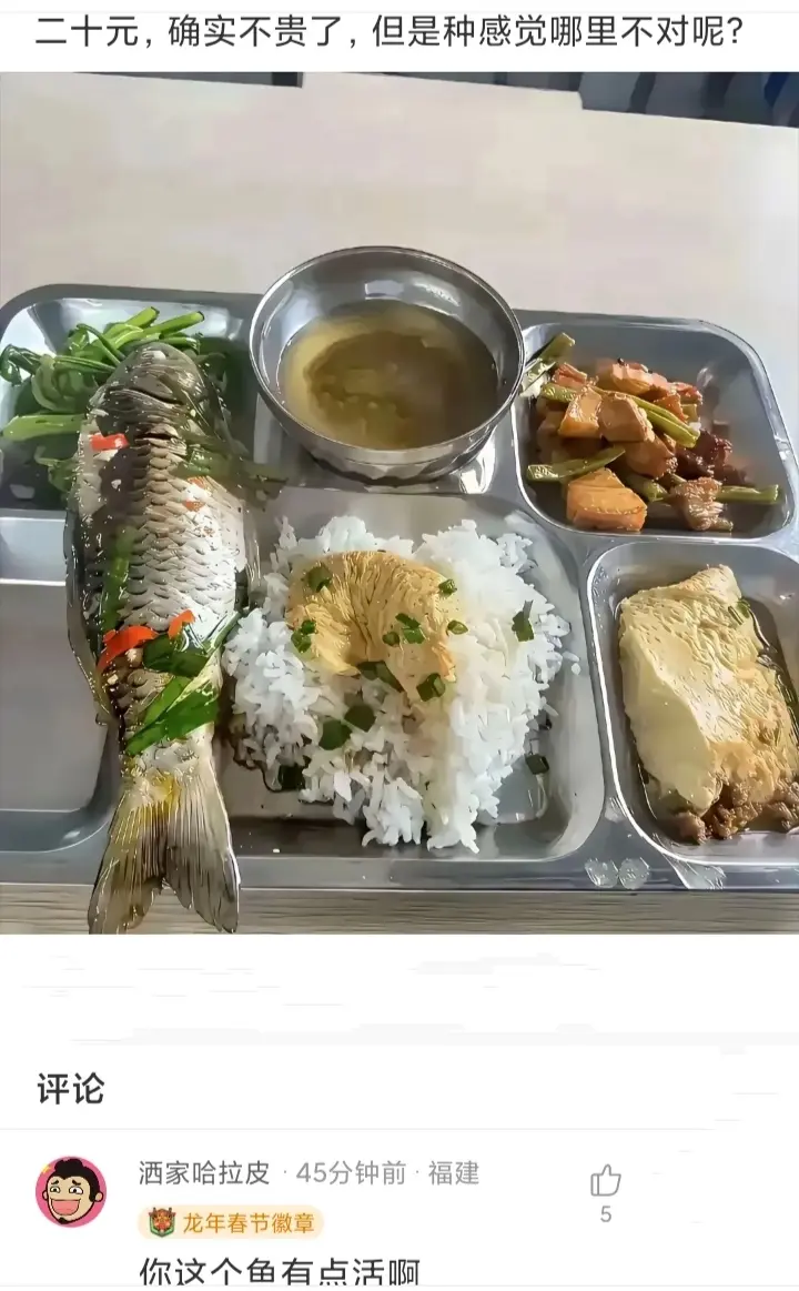 二十元确实不贵了，但是总感觉哪里不对呢