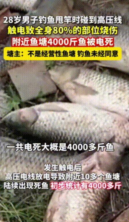 “为了钓鱼不要命了！”广西，28岁男子钓鱼甩竿碰到高压线，全身瞬间80%烧伤，鱼