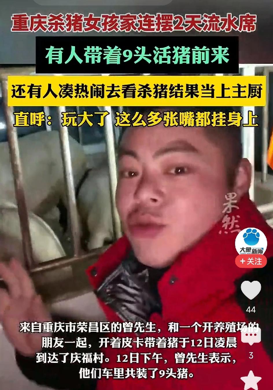 天选打工人！男子凑热闹去看杀猪，结果当上主厨！没吃过熊猫猪，想问一下，熊猫猪吃