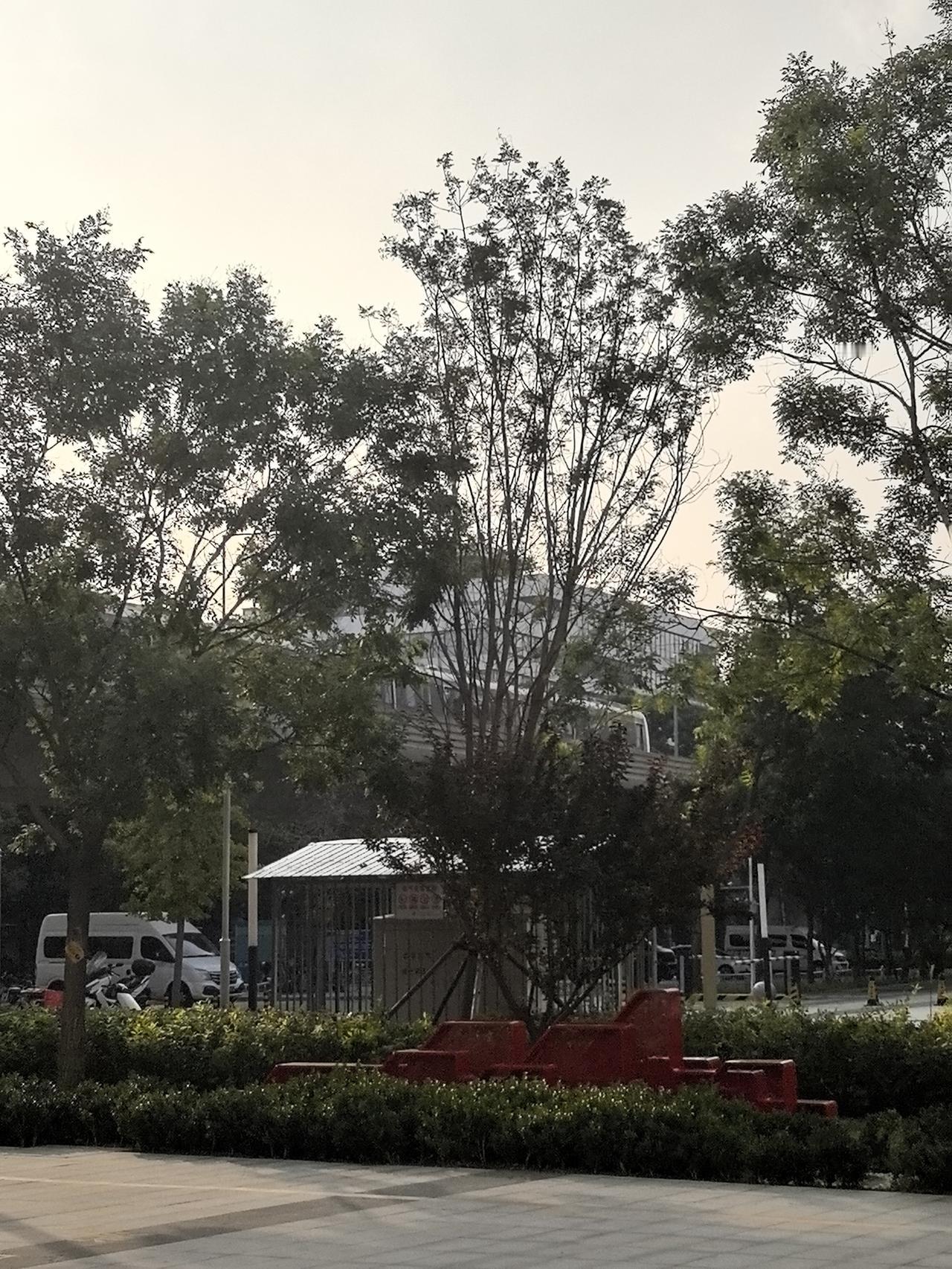 “多位数乘一位数”单元教材深度解读一、单元核心定位：承上启下的“运算基石”