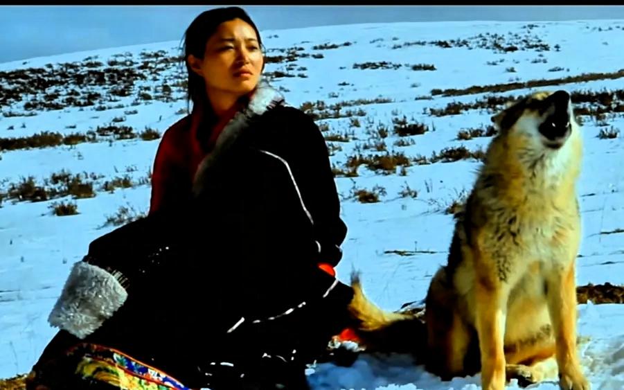 看到李微漪这事儿，真是把我的世俗三观按在地上摩擦28亿播放的《重返狼群》，