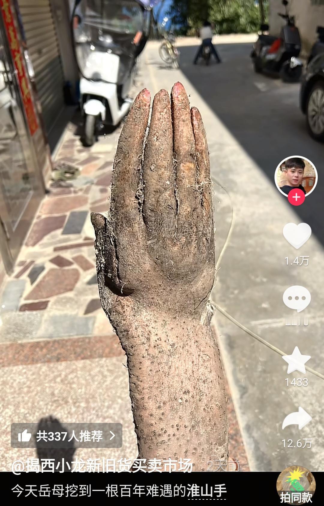 万万没想到！广东揭阳，一位种了三十多年淮山的七旬阿婆，在自家菜园挖淮山，前面挖出