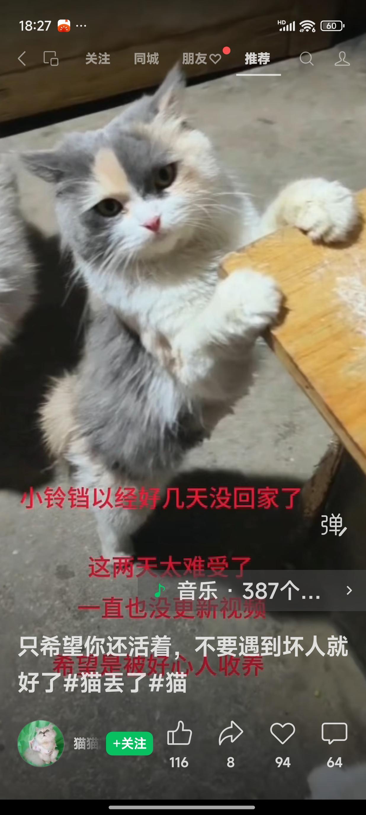 网友的猫咪小铃铛走丢了，已经好几天没回家，也不知它是否安然无恙。网友常发抖音，