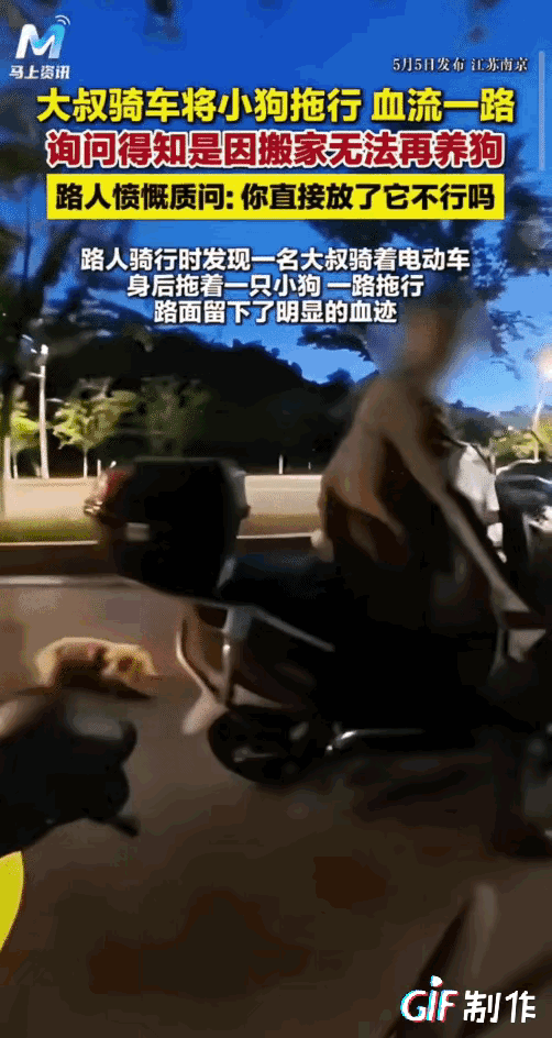 “心太狠了！”男子晚上骑行，遇到一大叔将小狗拖行，血流一路，男子把大叔截停，询问
