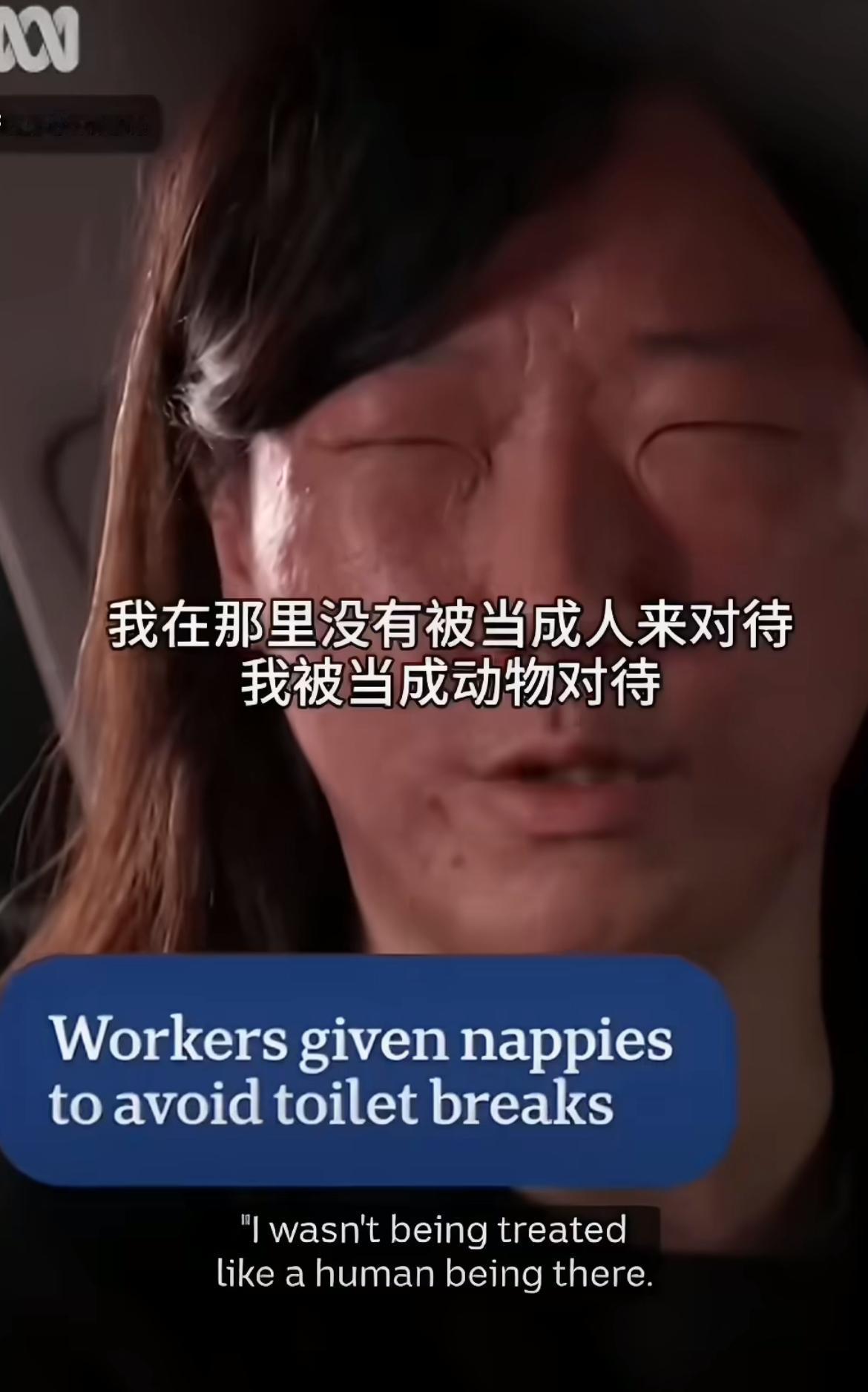韩版甜甜圈澳洲历险记，每天工作10个小时只有20美元，各种脏活累活都需要他们去干