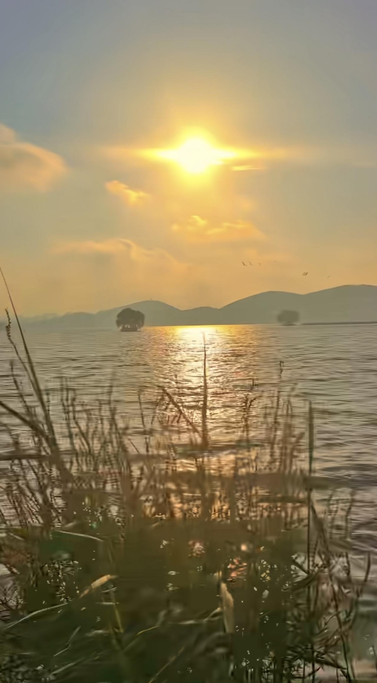 老百姓选择善良，为了活得踏实。是的，不是为了交易，不是为了回报，也不求什么福