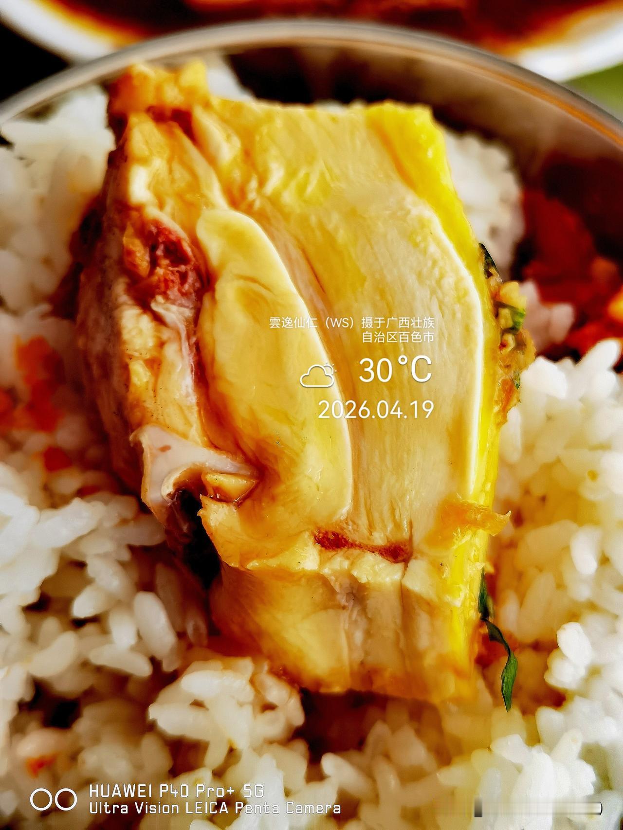 旅居生活记录（8558）广西壮族自治区百色市（244）品尝小吃61：白切鸡（5.