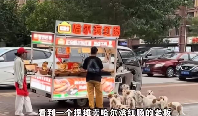 这真的是“有舍就有得”！8月，一个美女摆摊卖哈尔滨红肠，随手喂了流浪狗一口，结果