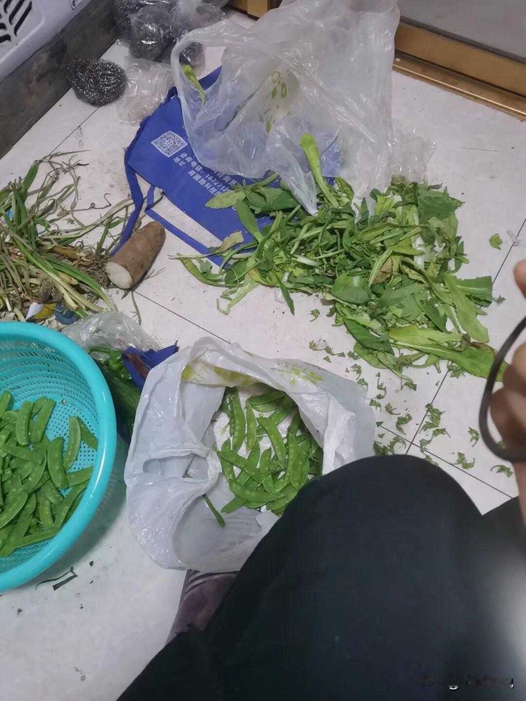 与其送这些，还不如每个月给我打一万块钱呢！隔三差五婆婆就会从老家赶来镇上，给我们