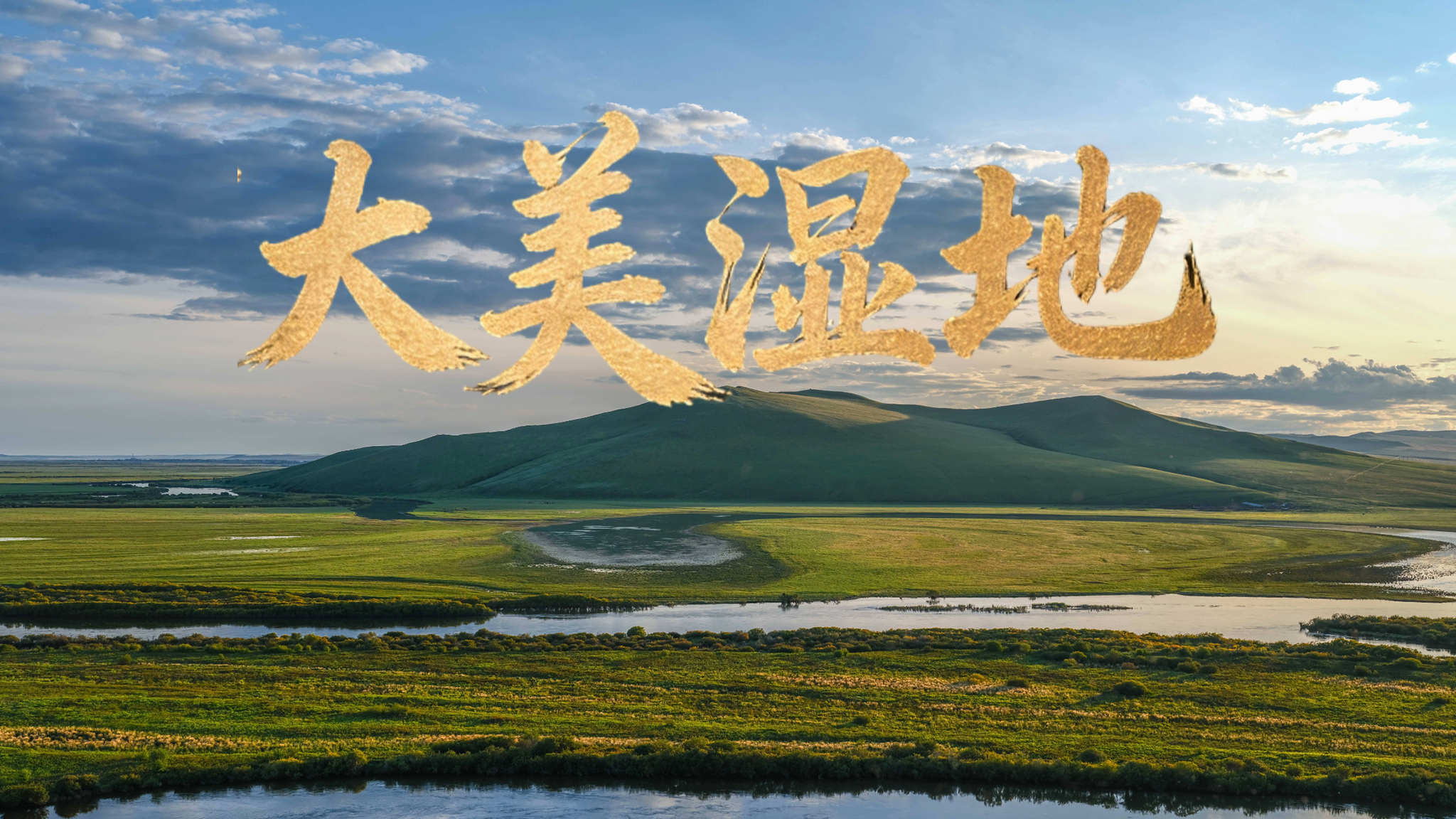 守护生命之肾丨中国湿地保护书写生态文明新篇章