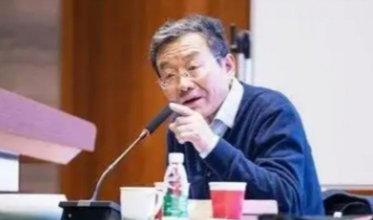 复旦大学教授王德峰再次语出惊人！他曾说：“我们再次出现了如孙中山当年说的‘一盘散