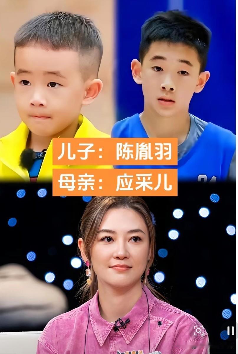 娱乐圈女星家的帅气儿子，基因太强大女明星们的儿子合集完美遗传妈妈优良基因，个