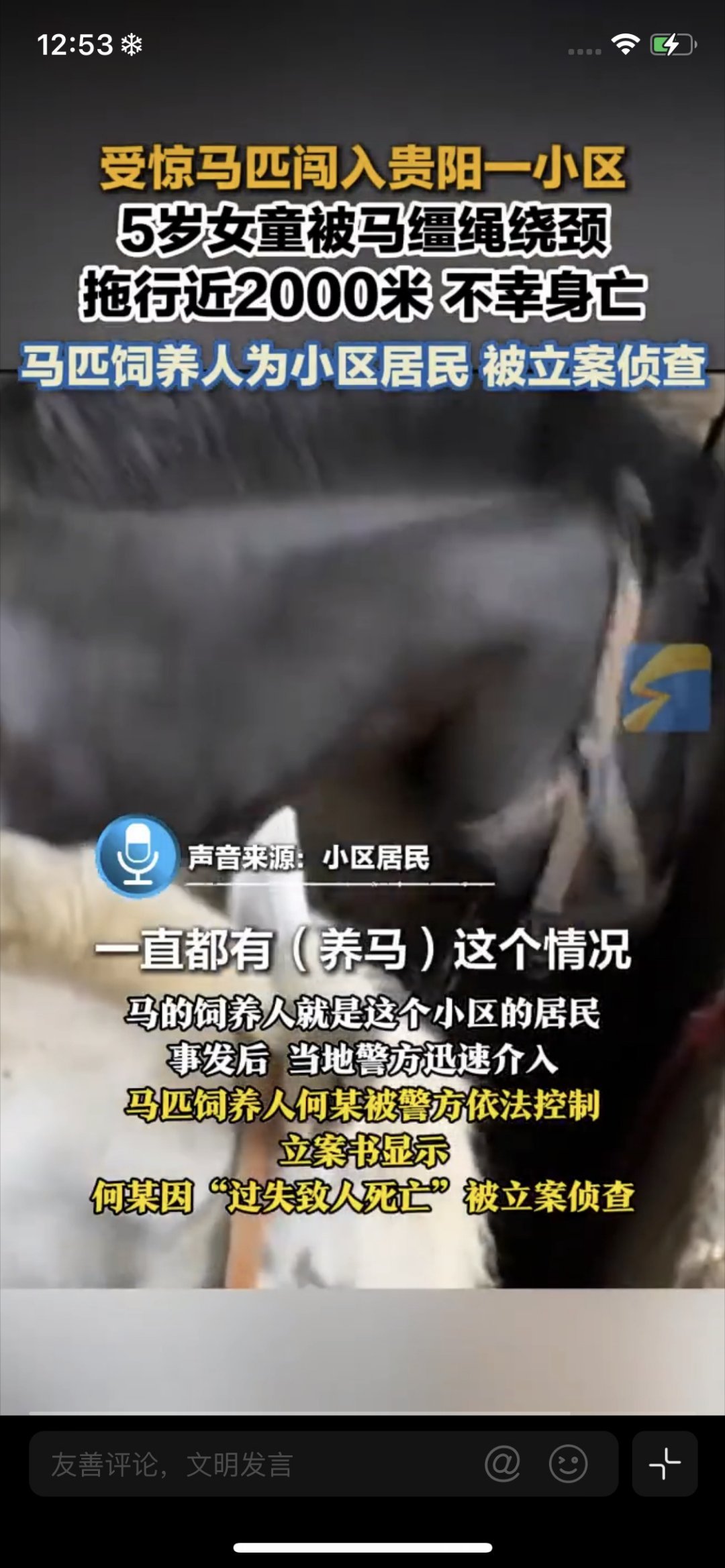 女儿被缰绳绕颈妈妈跑不过马好绝望不仅要追究养马者的责任，更要追究相关职能部门和