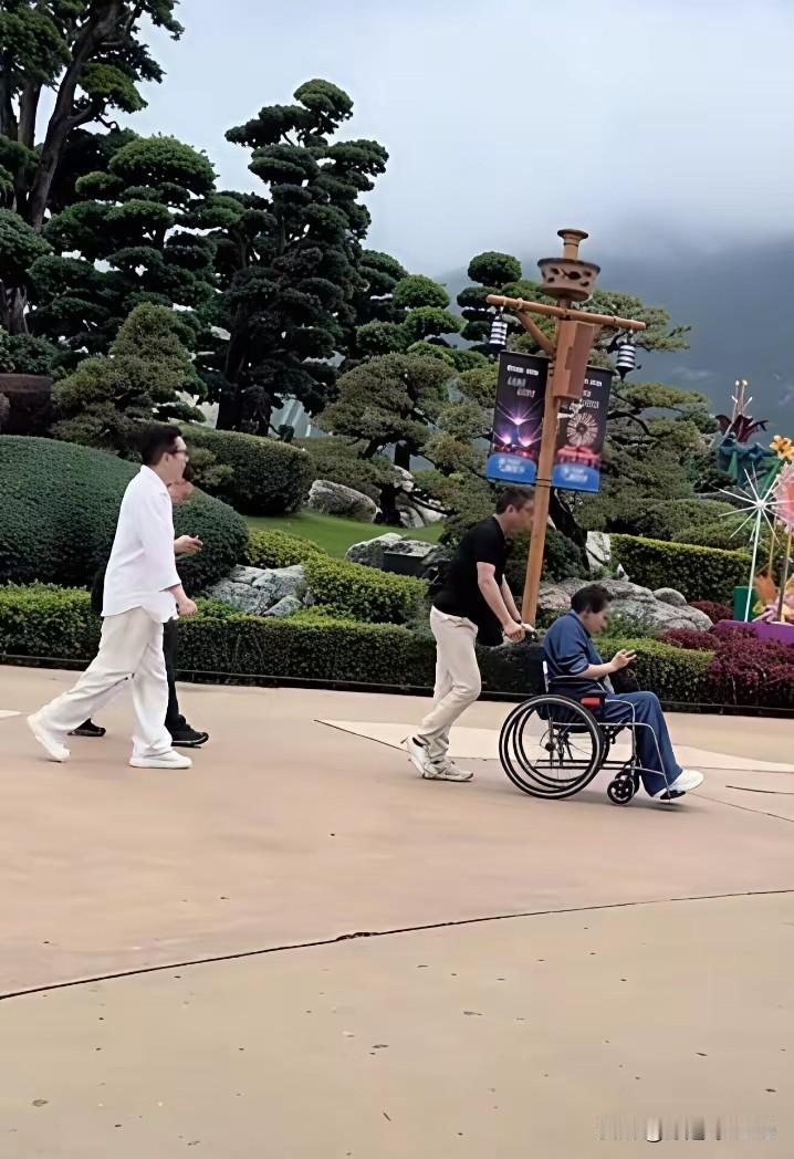 原来向太陈岚现在出门都要做轮椅，看她在直播间精神抖擞的样子还以为她健康得很，原来