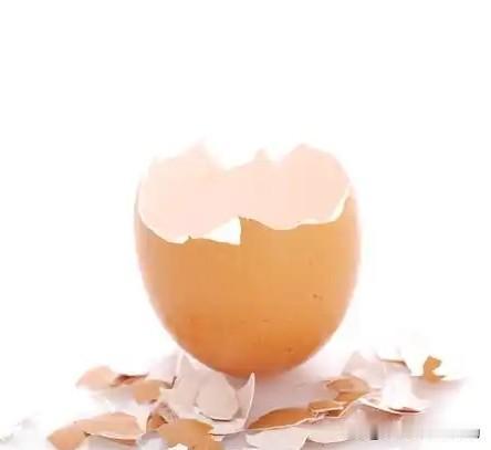 鸡蛋壳能不能养花鸡蛋壳能不能养花不仅能养花还能种菜，鸡蛋壳含有钙、镁、锌等有机物