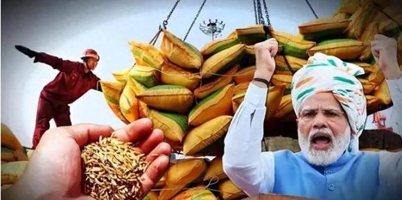 中印两国都顶着14亿人口的盘子，粮食账却算出了截然不同的结果：中国年产7亿吨粮还