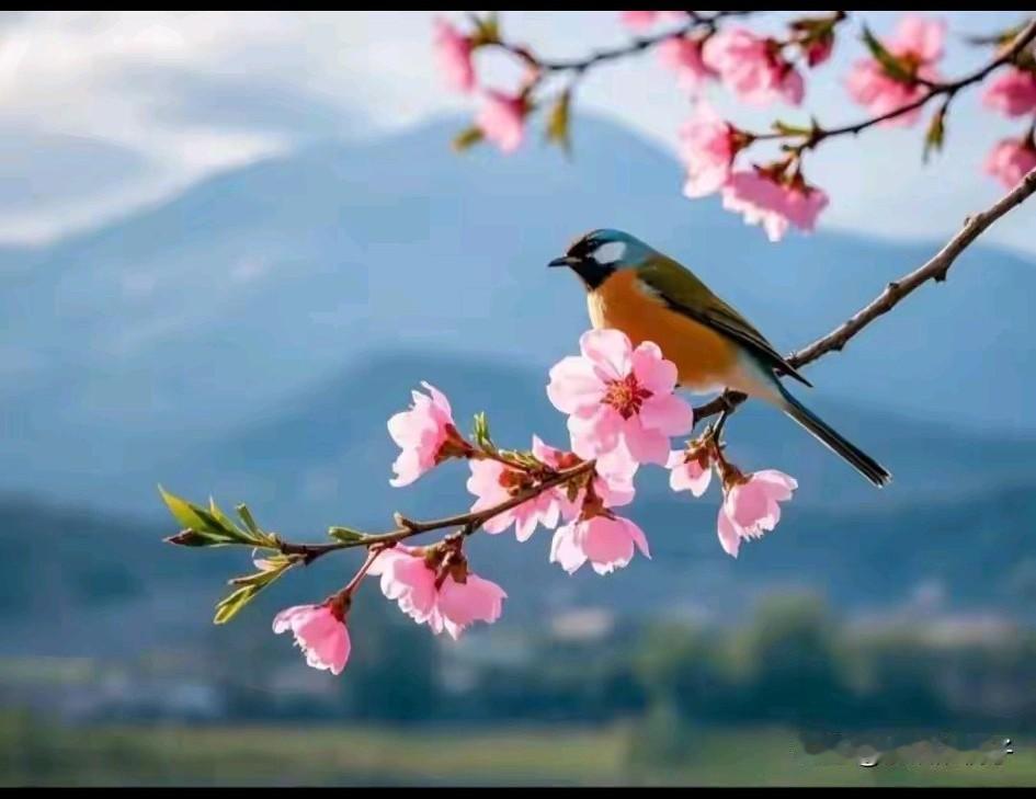 老两口每个月的工资都有5000元，还有一个老两口是农民，有100万存款。大家觉得