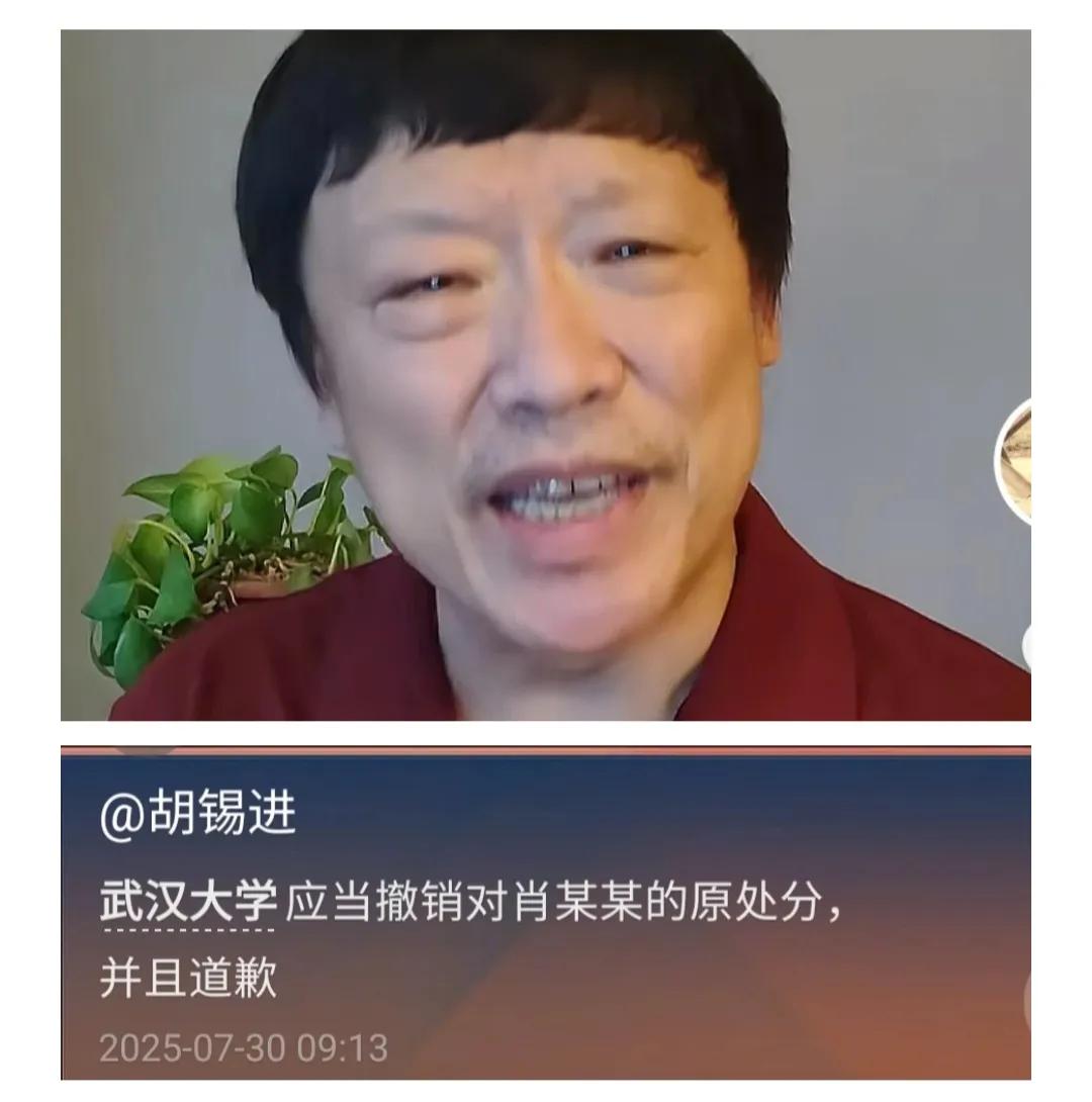 胡锡进，请道歉。胡锡进与一些网友提出让武汉大学撤销对肖某的处分，并向肖某道