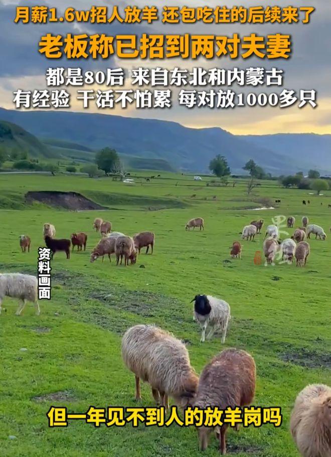 “后续来了！”内蒙古锡林浩特，一牧场老板开出月薪1.6万元，急招夫妻档去草原深处