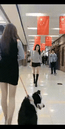 女子本来就怕狗，见到有人牵狗从身边路过，吓得缩手缩脚胆战心惊，好不容易看到狗狗从