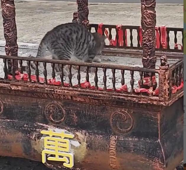 福建两男子去寺庙偷东西，不偷金佛也不偷功德箱专门扒寺庙里的灰，3个月扒了446斤