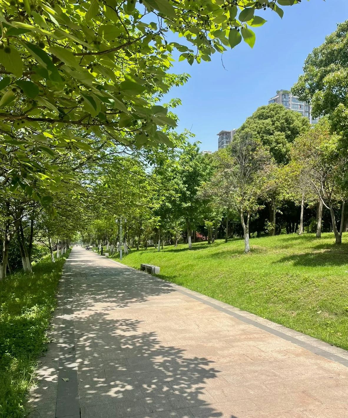 前年买房，94万，售楼部傲娇的，销售把主管叫过来让我谈优惠，全程一句话不说，我也