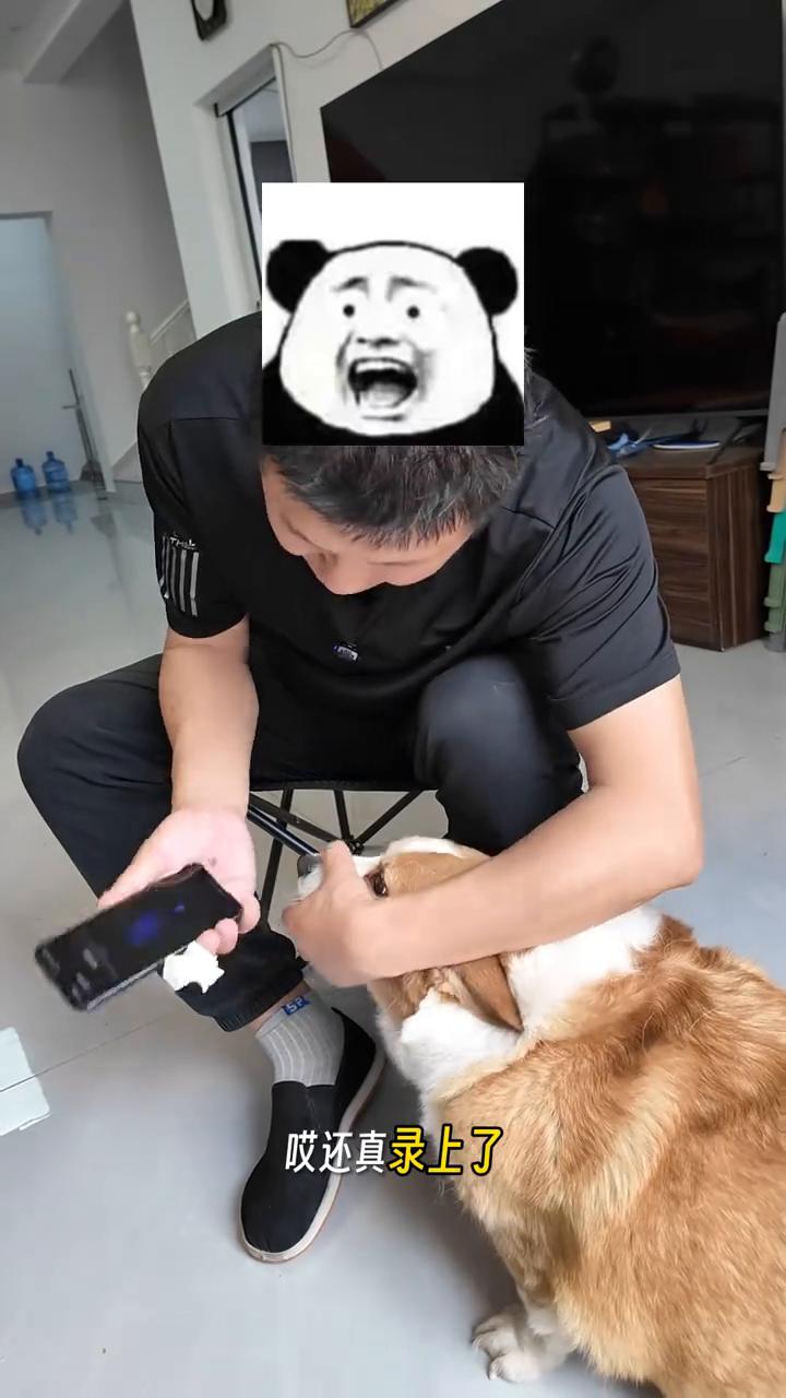 在网上查资料，网上说很多人说狗鼻子能当指纹解锁，今天我试一下。·先来给它擦一下