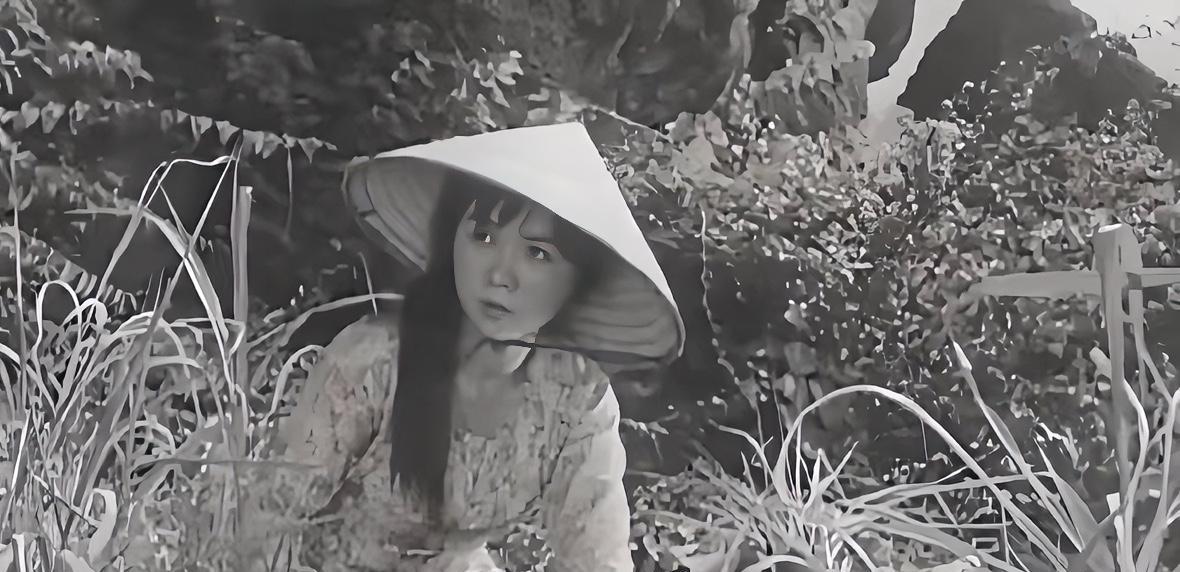 1975年，上百名美军惨死在越南美女特工阮文慧手下，美军悬赏10万未果，谁知4年