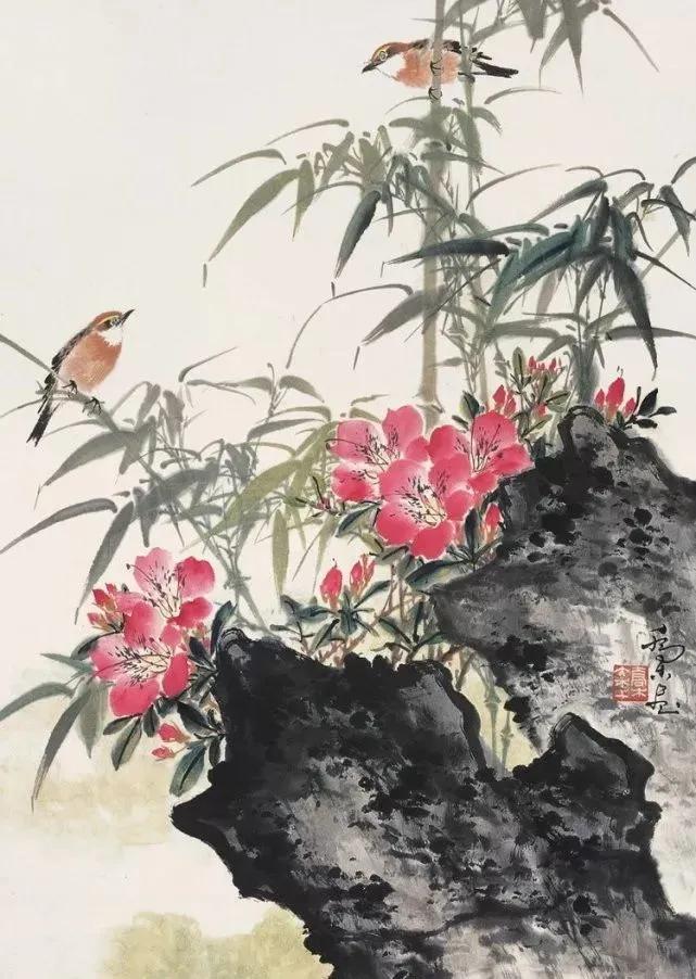好养眼的花鸟，如沐春风！