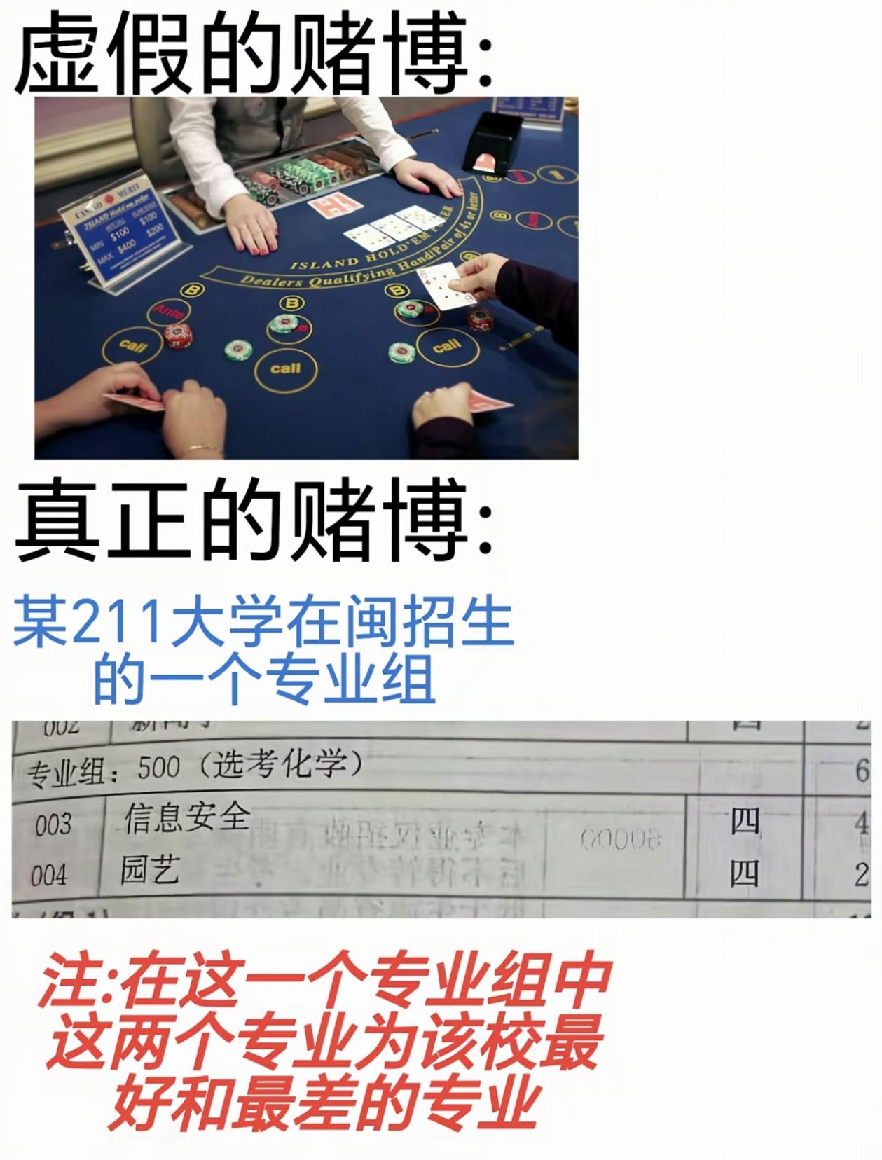 填报贵州大学这个专业组的考生才是真正的豪赌，赌场都比不过都说赌场赌博风险大