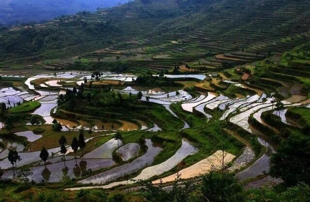 浙江永嘉·茗岙梯田，如同来到了天外仙境。大凡到过茗岙的游人都有一