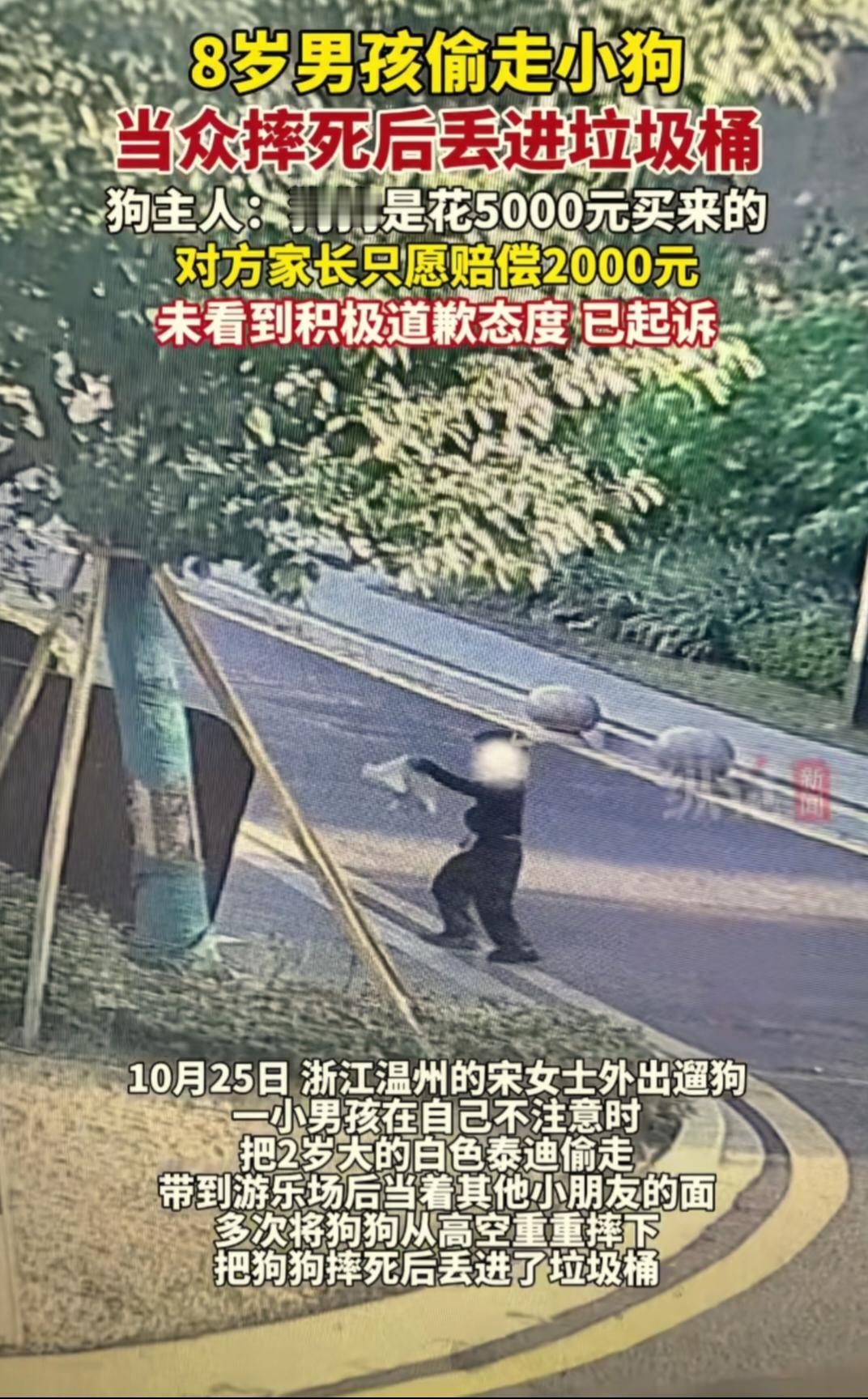 八岁男孩偷偷抱走别人家的2岁泰迪，当着其他小朋友的面，把小狗摔死后又扔进垃圾桶。