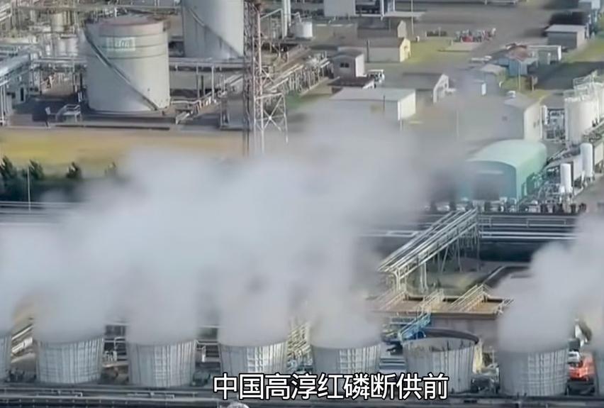不得不承认，之前确实有点小瞧了日本，没想到它手里能打的牌还挺多的。现在有很多