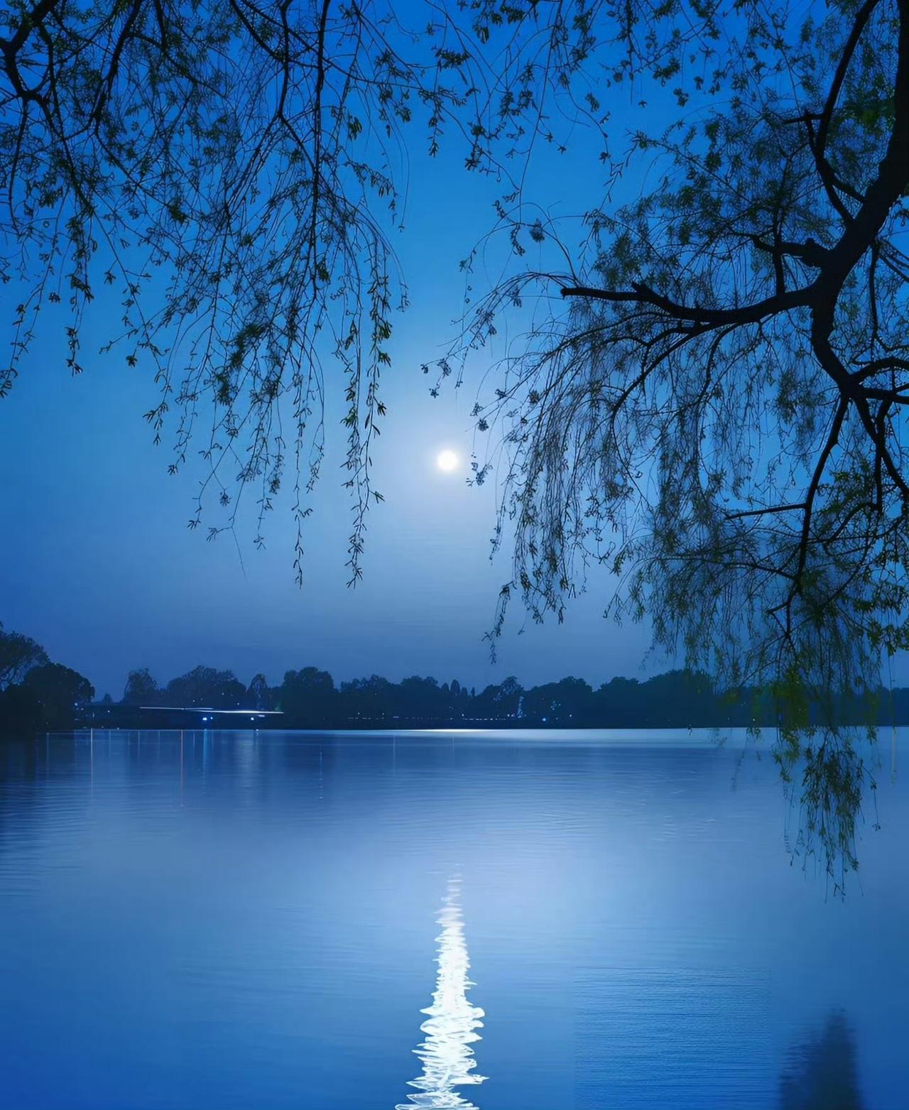 “一生风月属闲人…”美图