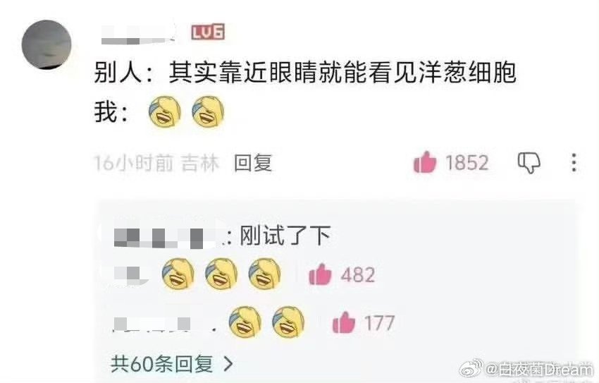 刚刚试了下