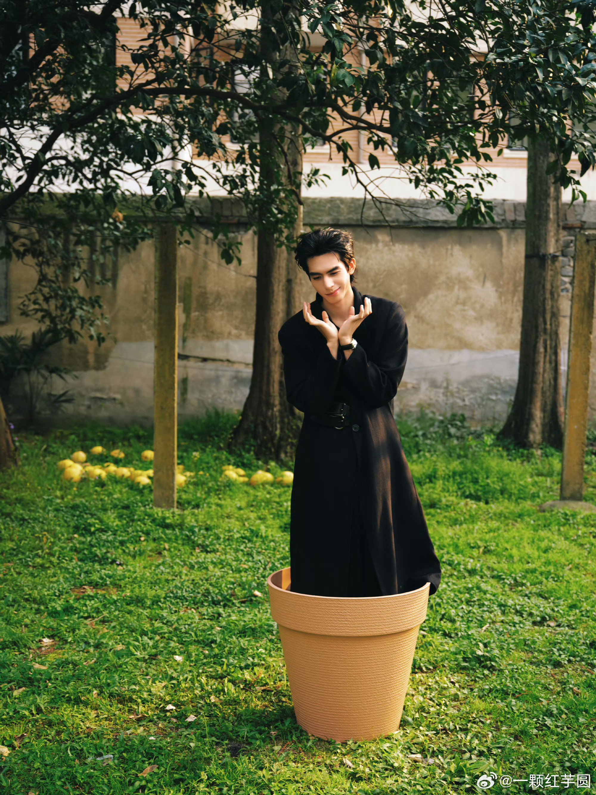 看到这样的宋威龙，脑海里只有三件事！想和他一起攀岩，一起遛狗，一起shuiji