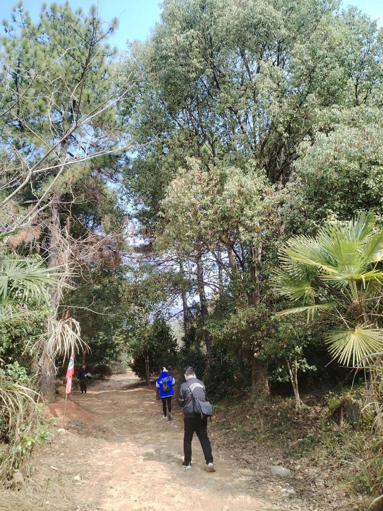 梅岭地震台爬山线路。梅岭地震台爬山线路从地震台公交站出发，推荐小环线5km，轻