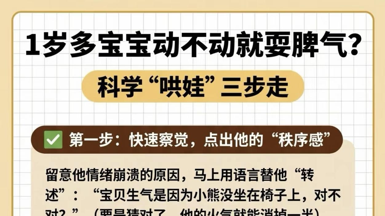 1岁宝宝秒变“炸药包”? 别急着讲道理, 搞定“秩序感”才是灭火关键