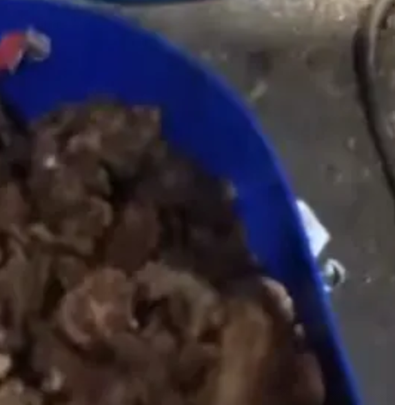 “找了好几趟，凑近了才闻见那股腐臭味！”近日，广西玉林玉州区旺卢村多名村民向媒体