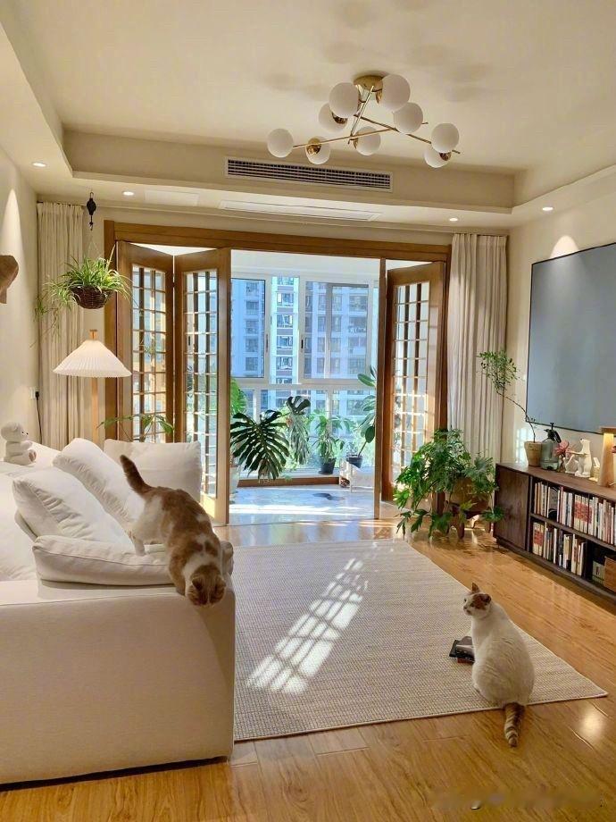 合肥楼市这个小阳春还是靠降价走量才能换来的。虽然合肥楼市的二手房成交量的确很高