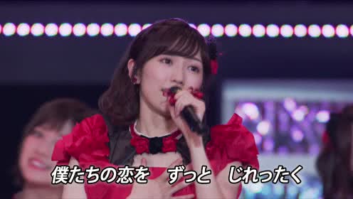 拉布拉多寻回犬(渡边麻友毕业演唱会