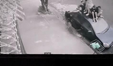 男男女女这么多人，难道还怕一条狗狗吗，怎么就没人挺身而出呢？怂包软蛋悲哀呀。