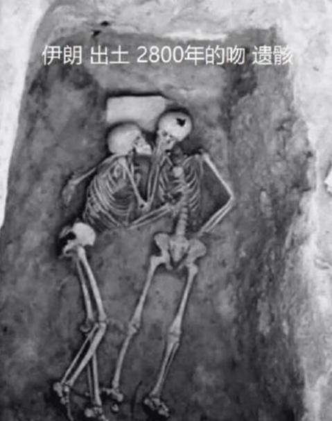 1972年夏天，考古学家在伊朗的一处古城遗址，发现了两具人类遗骸。让在场所有人