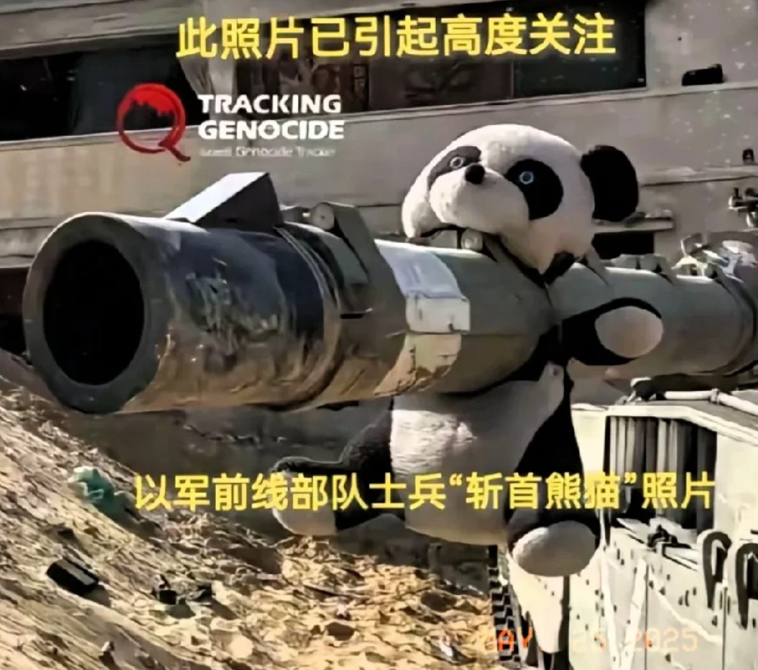 战争中的残忍象征：以色列坦克炮管上的“斩首”熊猫毛绒玩具引发争议