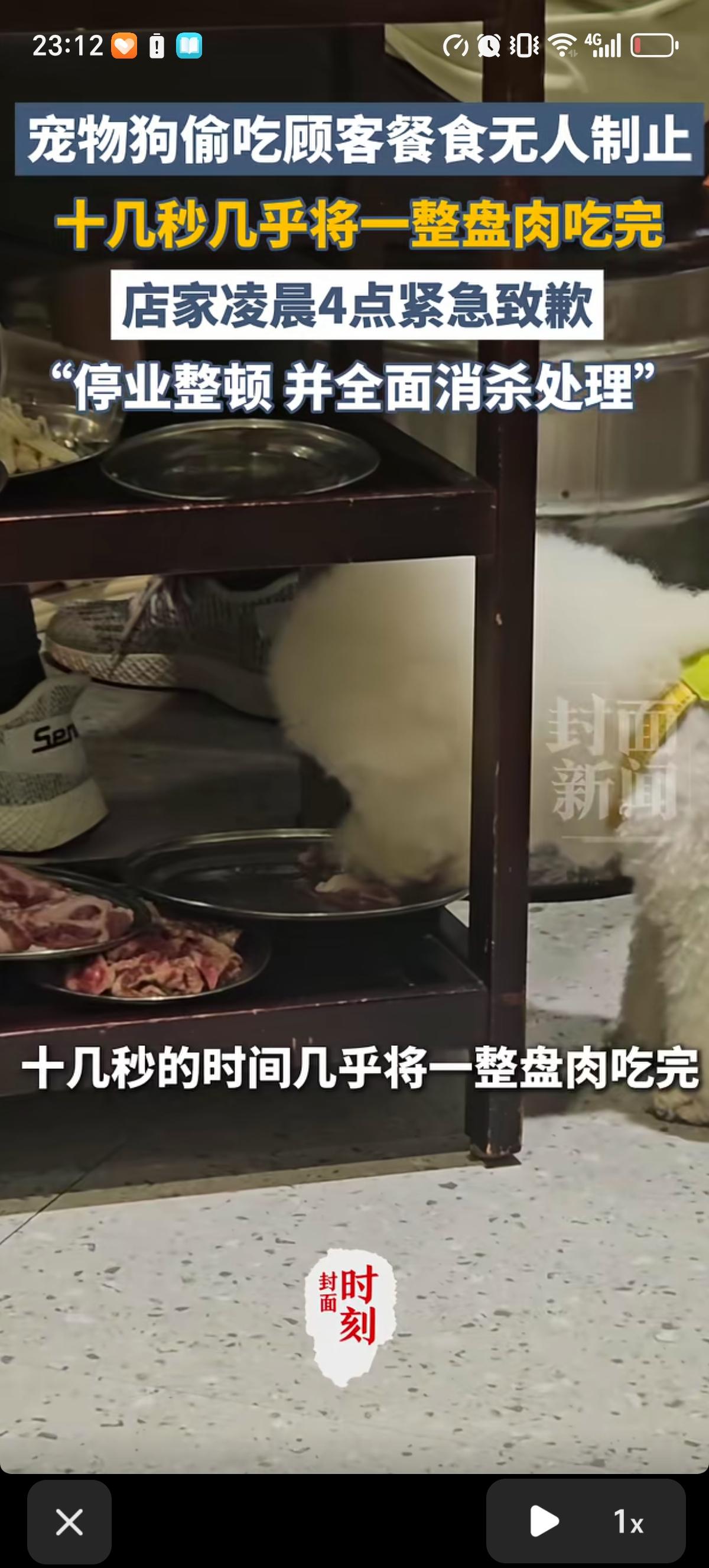 一名二十七八岁的女客无视无视店内“禁止带狗”告示，私自将自己的宠物狗带入衡阳蒸湘