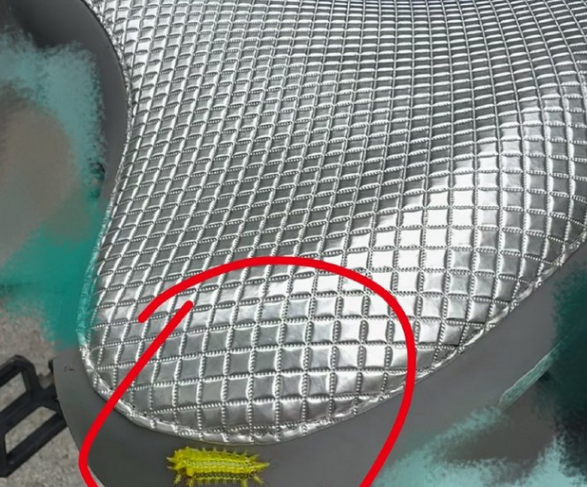 原来手碰到这种虫可以这么痛