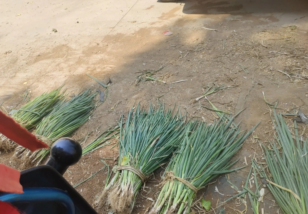 婆婆常年在市场卖豆腐，她没用自己的收款码，一直用我的。我跟她说：“您有手机，也有