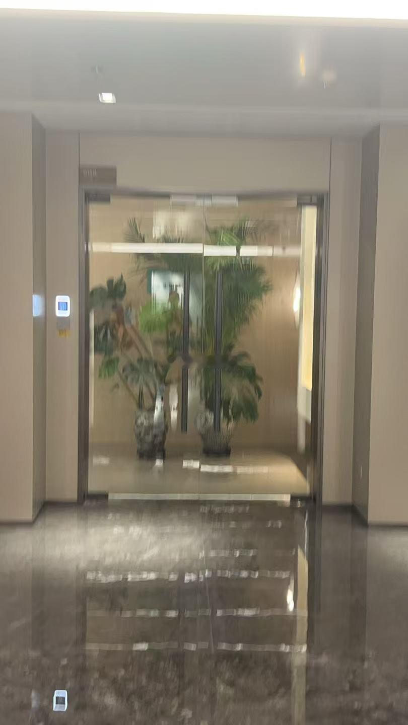 家门口正中间种一棵树，这个格局在风水上非常不妙。你站在门内往外看，一棵树直直地挡在门口正中央，像什么