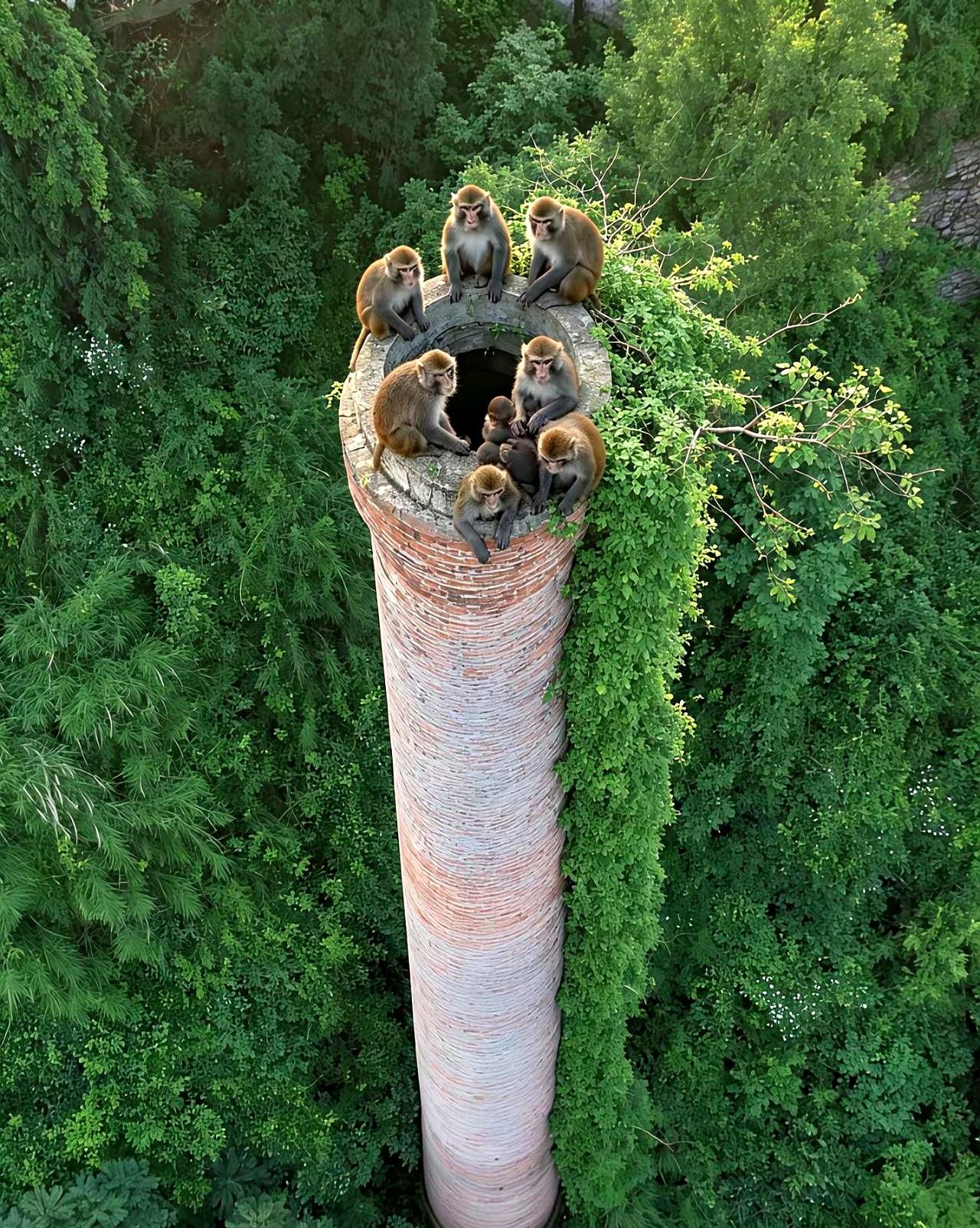 每次去景区走那种全透明的玻璃栈道，你是不是吓得双腿打闪闪恨不得贴地爬，凭啥旁边的